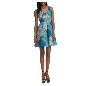 Floral Burst Pleated A-Line dress by Tracy Reese for Anthro, size 8